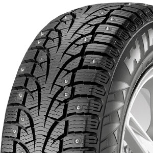 Pirelli Winter Edge